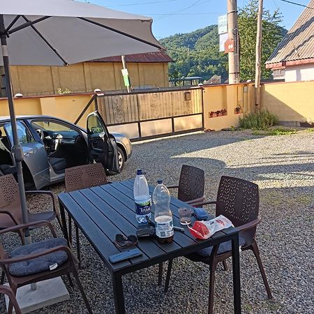 Apartament Casa Cerbului Vişeu de Sus Zewnętrze zdjęcie