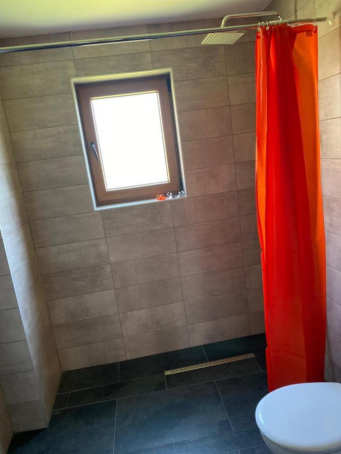 Apartament Casa Cerbului Vişeu de Sus Zewnętrze zdjęcie