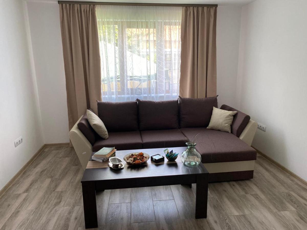 Apartament Casa Cerbului Vişeu de Sus Zewnętrze zdjęcie