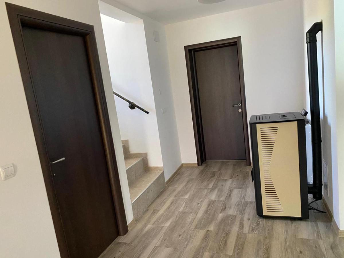 Apartament Casa Cerbului Vişeu de Sus Zewnętrze zdjęcie