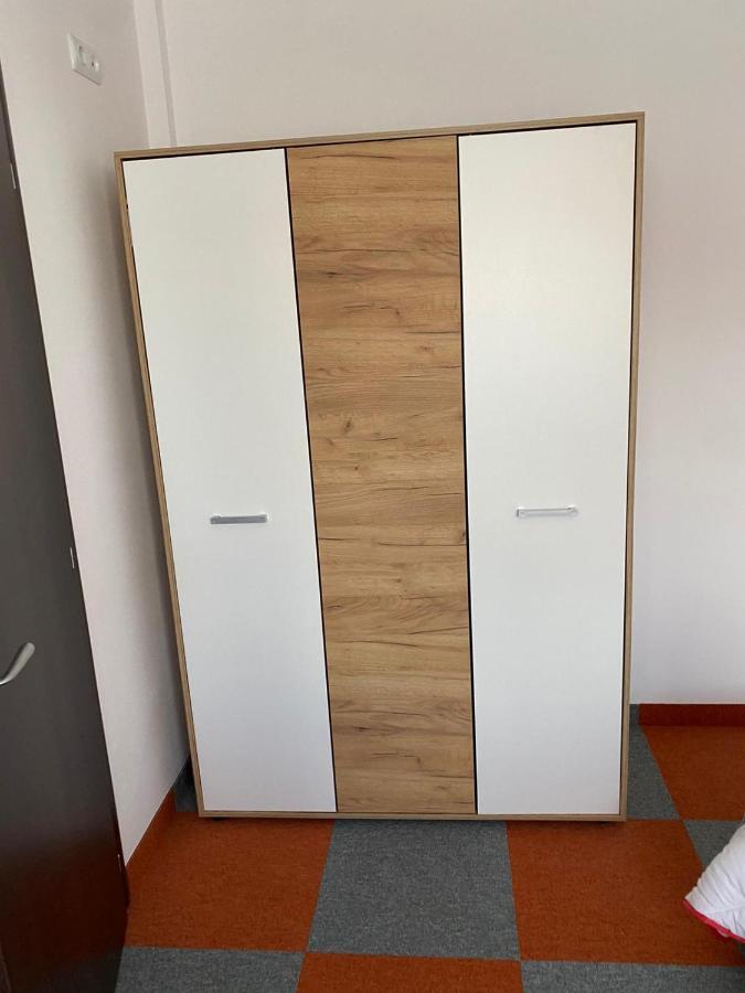 Apartament Casa Cerbului Vişeu de Sus Zewnętrze zdjęcie