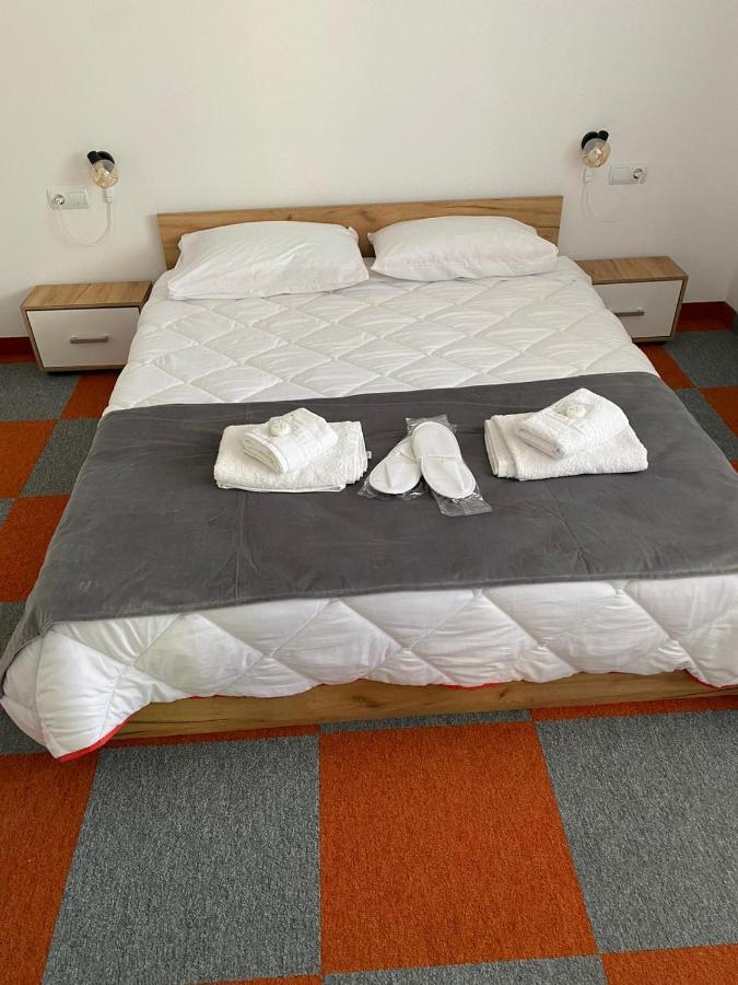 Apartament Casa Cerbului Vişeu de Sus Zewnętrze zdjęcie