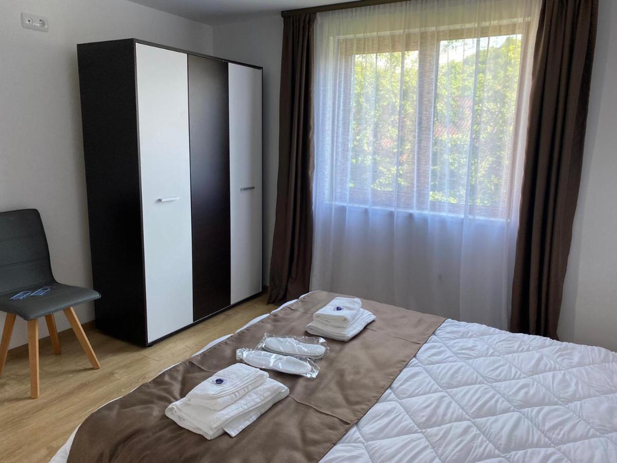 Apartament Casa Cerbului Vişeu de Sus Zewnętrze zdjęcie