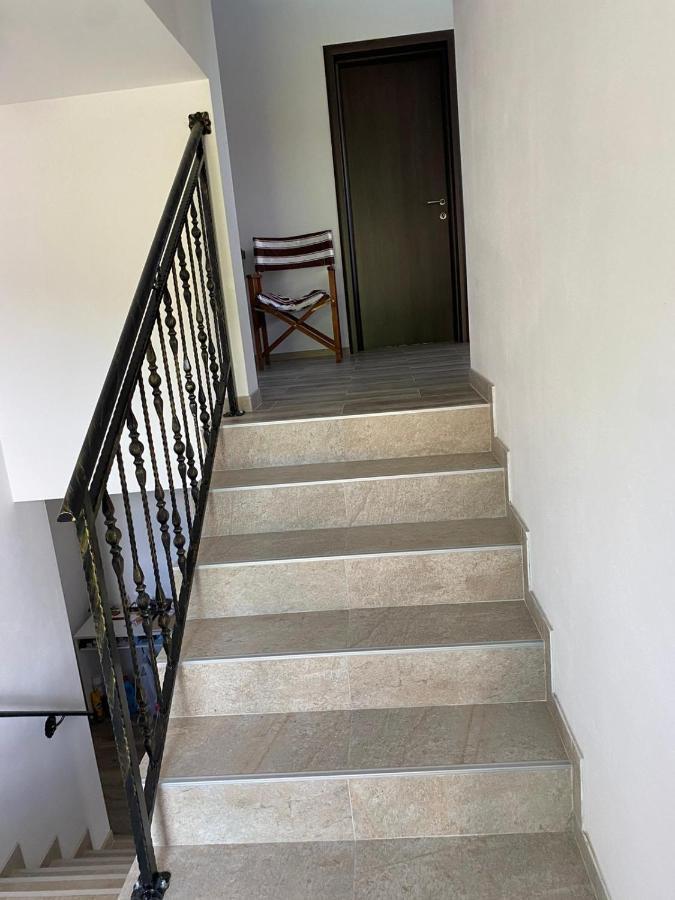 Apartament Casa Cerbului Vişeu de Sus Zewnętrze zdjęcie