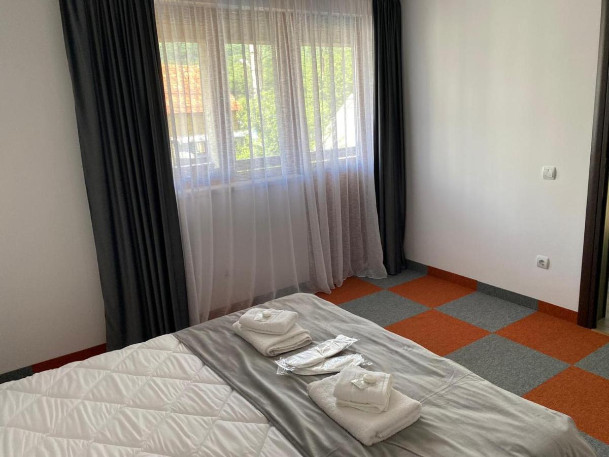 Apartament Casa Cerbului Vişeu de Sus Zewnętrze zdjęcie