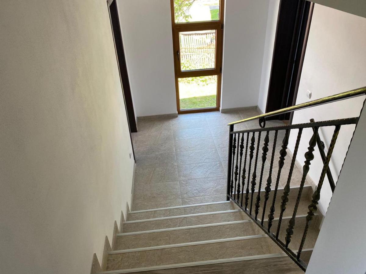 Apartament Casa Cerbului Vişeu de Sus Zewnętrze zdjęcie