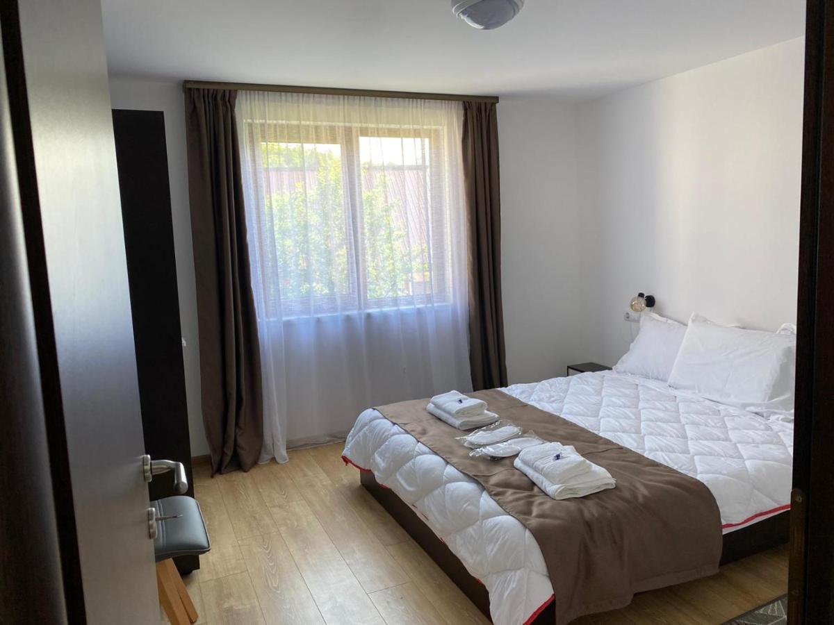 Apartament Casa Cerbului Vişeu de Sus Zewnętrze zdjęcie