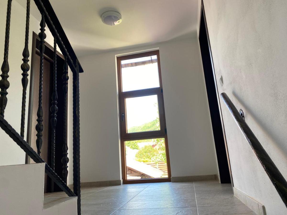 Apartament Casa Cerbului Vişeu de Sus Zewnętrze zdjęcie