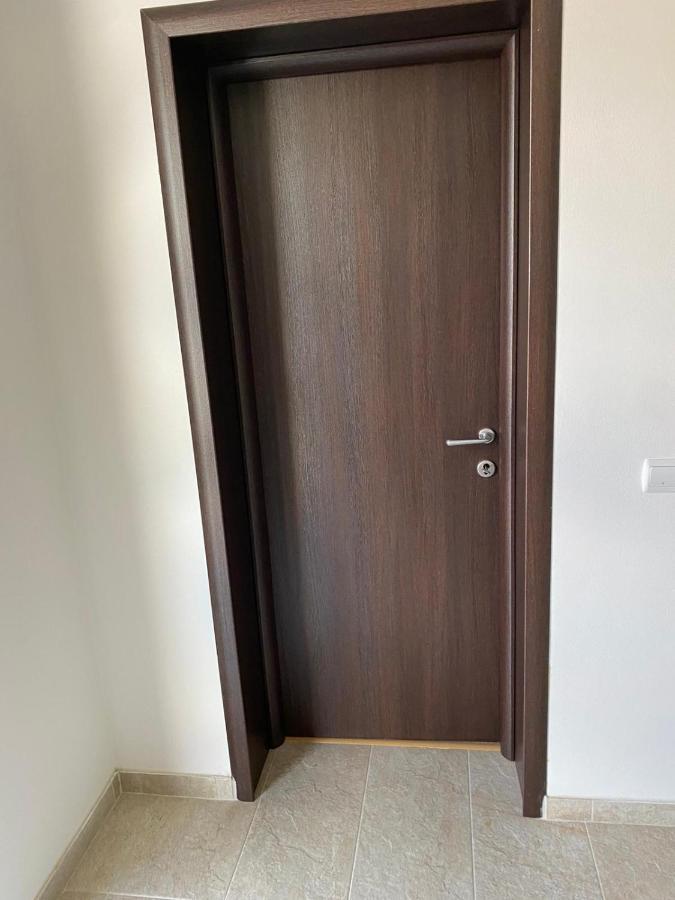 Apartament Casa Cerbului Vişeu de Sus Zewnętrze zdjęcie
