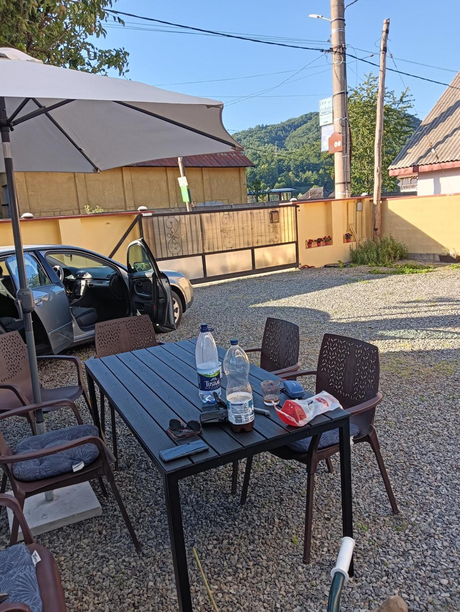 Apartament Casa Cerbului Vişeu de Sus Zewnętrze zdjęcie